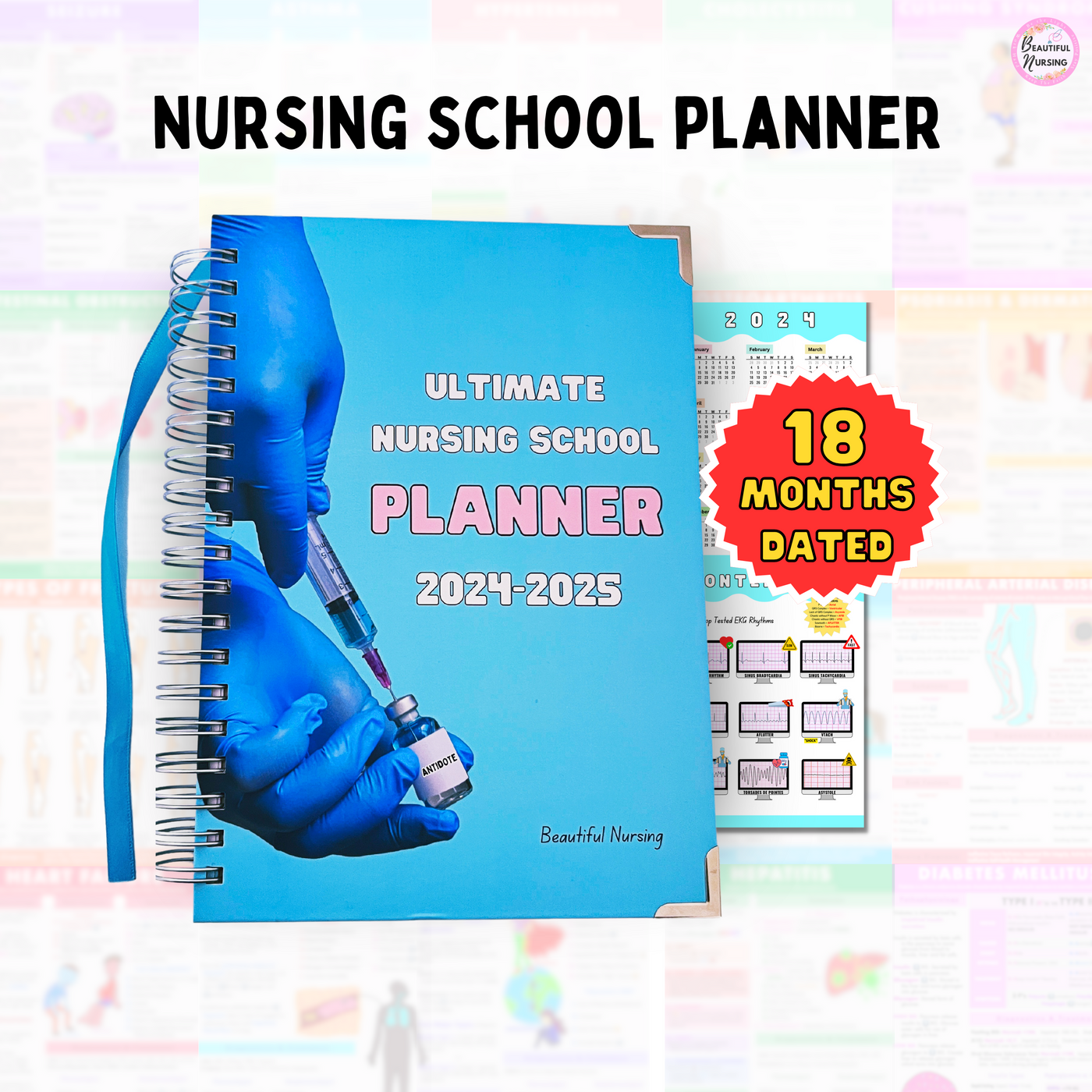Nursing School Planner | Dated JUN 2024 - DEC 2025